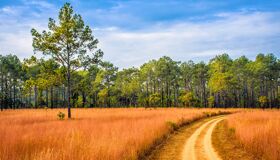 Begin your visa-prepared day with Laos’ tranquil ambiance